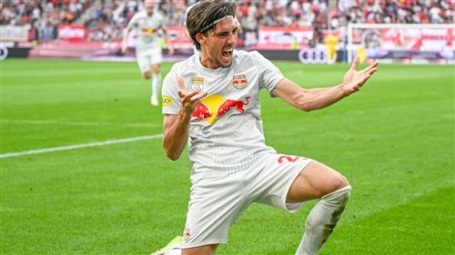 Bonza Casino App: Ultimate Mobile Gaming Guide